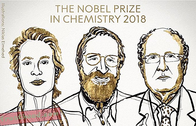 Trois scientifiques évolutionnistes se partagent le prix Nobel de chimie de cette année