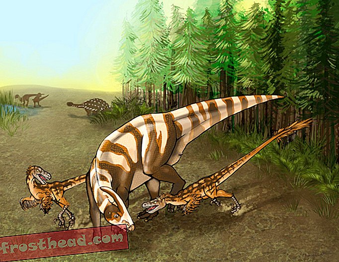nutikad uudised, nutikad uudisteadused - Tutvuge oma uue lemmikdinosaurusega: Velociraptori nõbu