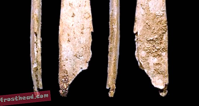 Les Néandertaliens ont fabriqué des outils spécialisés en os et ont peut-être même appris à des humains
