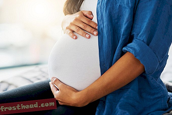 умные новости, умные новости науки - CDC заявляет, что более половины смертей в США, связанных с беременностью, можно предотвратить