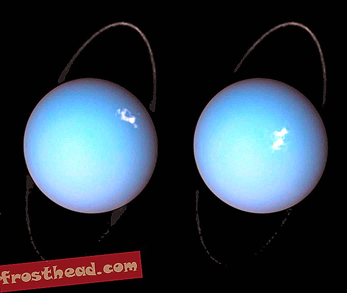 Echa un vistazo a las Auroras en Urano