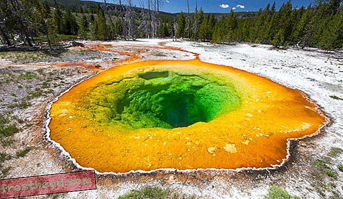 Gli attuali colori verde e giallo della piscina Morning Glory di Yellowstone. (Duncan Usher / Minden Pictures / Corbis)