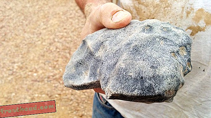 Une météorite vieille de 4,5 milliards d'années trouvée dans le désert australien