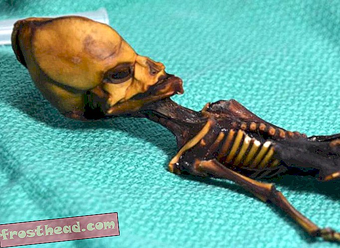 умные новости, умные новости науки - Исследователи раскрывают тайну «чужой» мумии Атакамы