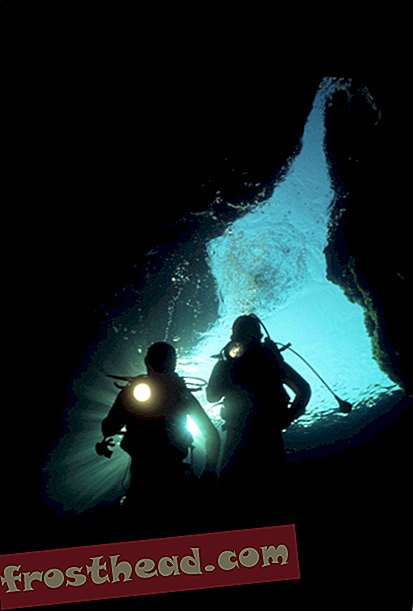 nutikad uudised, nutikad uudisteadused - Sukeldujad avastavad surnuaia, mis on täis hiiglaslikke Lemuuri luukere