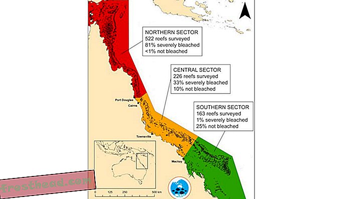 Blanqueamiento masivo destruye franjas de la Gran Barrera de Coral