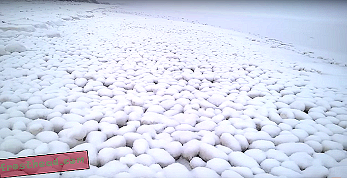 Naturlig formede snøballer dekker strender i Sibir