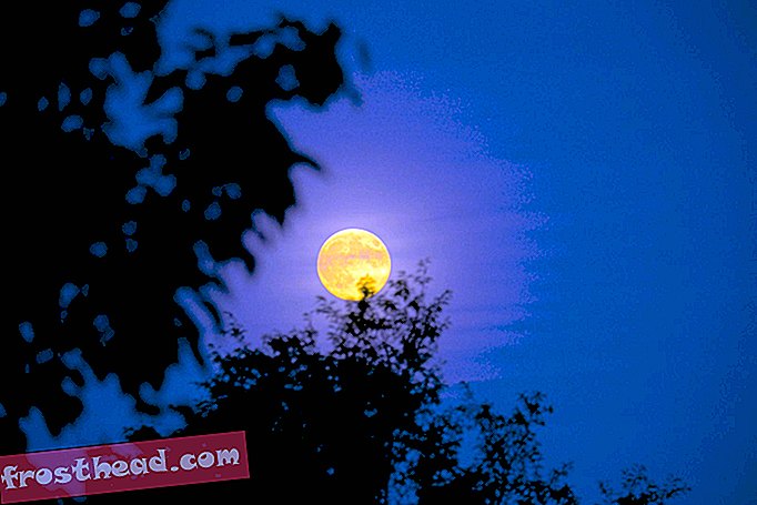 Hvězdná trojitá hrozba tohoto víkendu: Harvest Moon, Eclipse a možná Supermoon