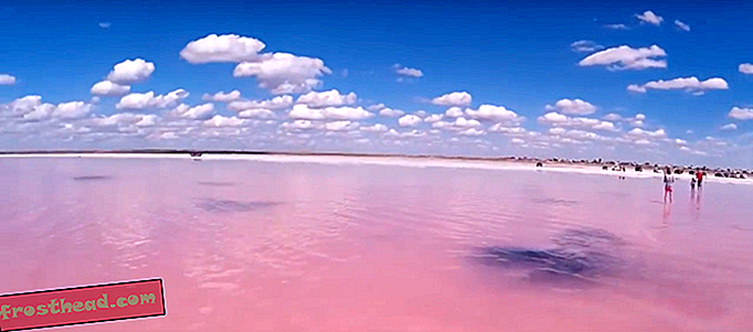 Sommervarme vender denne sibirske sø lyserosa