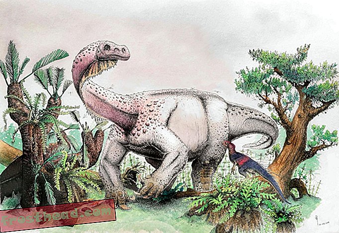 New Fossil Dubbed 'Giant Thunderclap at Dawn' zeigt, wie große Dinos von zwei Beinen auf vier gingen