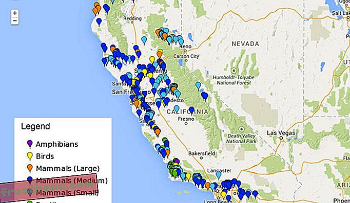 slim nieuws, slimme nieuwswetenschap - Veranderingen in Roadkill in Californië gekoppeld aan de droogte van de staat
