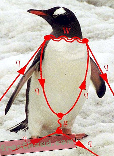 Jak byl fyzický diagram pojmenován po tučňáku