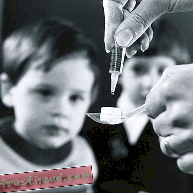smarte nyheder, smarte nyhedsvidenskab - En poliolignende sygdom forårsager lammelse hos børn
