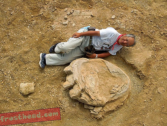 शोधकर्ताओं ने अभी तक सबसे बड़े डायनासोर के पैरों के निशान में से एक की खोज की थी