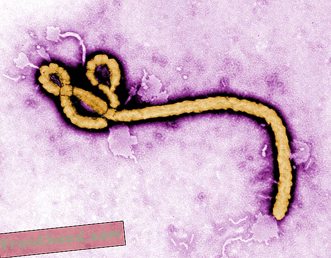 noticias inteligentes, ciencia de noticias inteligentes - República Democrática del Congo aprueba la vacuna contra el ébola