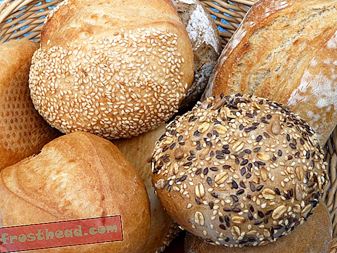умные новости, умные новости науки - У больных целиакией могут появиться лучшие варианты хлеба благодаря генетически модифицированной пшенице