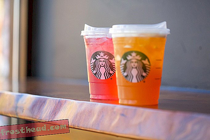 έξυπνες ειδήσεις, έξυπνες επιστήμες ειδήσεων - Η Starbucks υπόσχεται να χτυπήσει πλαστικά καλαμάκια μέχρι το 2020. Πώς θα αλλάξουν οι ωκεανοί;