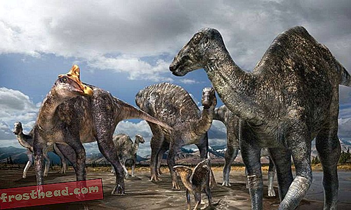 Alaskast avastatud uut tüüpi arktiline dinosaurus