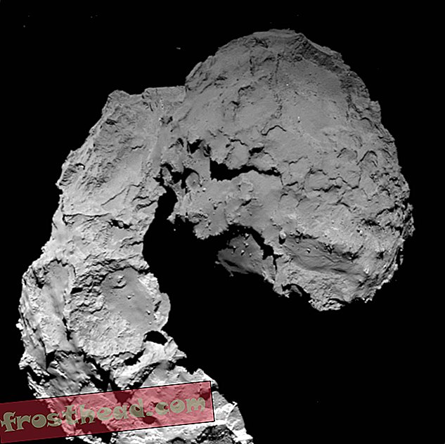 Nouvelles intelligentes, science de l'information intelligente - Geek Out à ce livestream jour d'astéroïdes