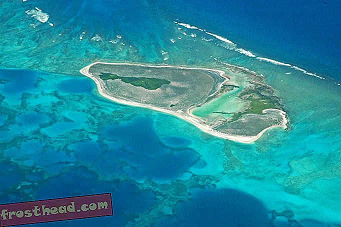 राष्ट्रपति ओबामा ने दुनिया के सबसे बड़े समुद्री संरक्षित क्षेत्र का निर्माण किया