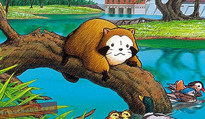 スマートニュース、スマートニュース旅行 - 日本のアライグマ問題の原因となった児童書