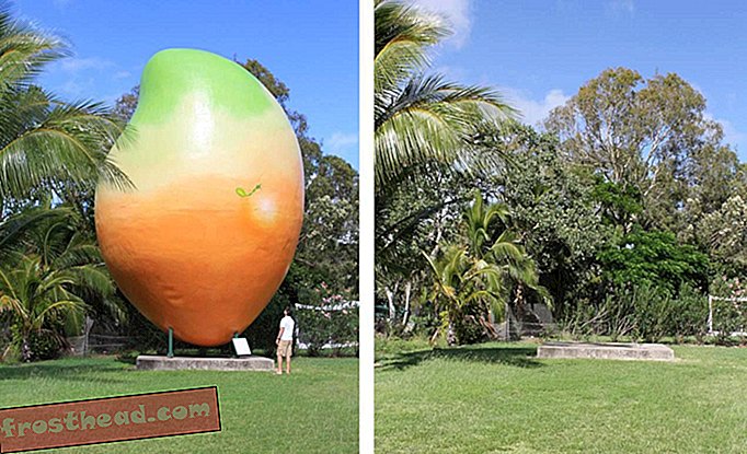 Το Giant Mango Goes Missing στην Αυστραλία