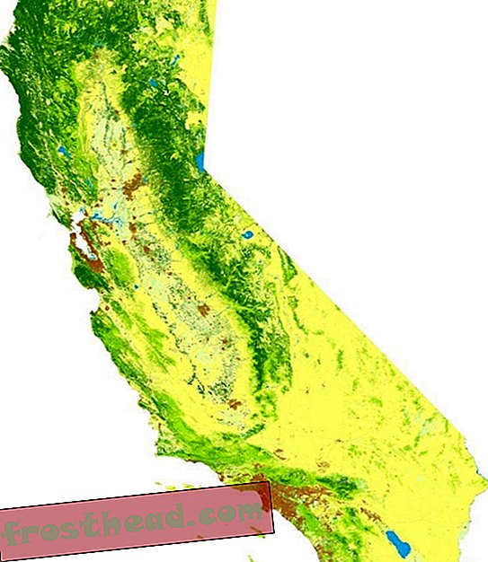 Aquí hay un mapa de todos los árboles en California