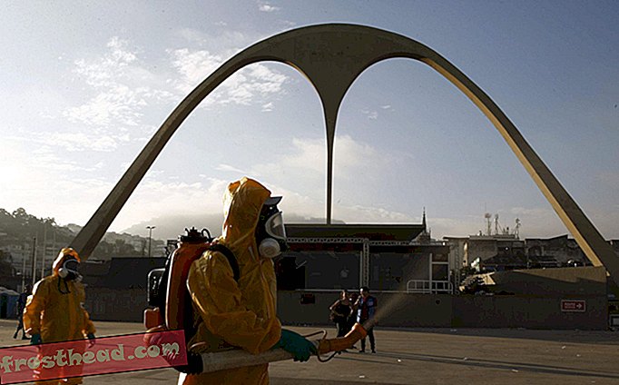 Zika Virus kann Ärger für die Olympischen Spiele in Rio bedeuten