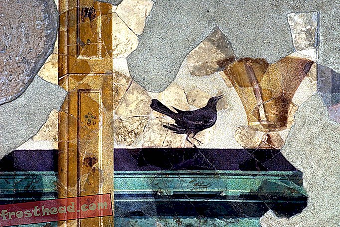 Los visitantes de la casa del emperador Augusto ahora pueden ver los mismos frescos que hizo