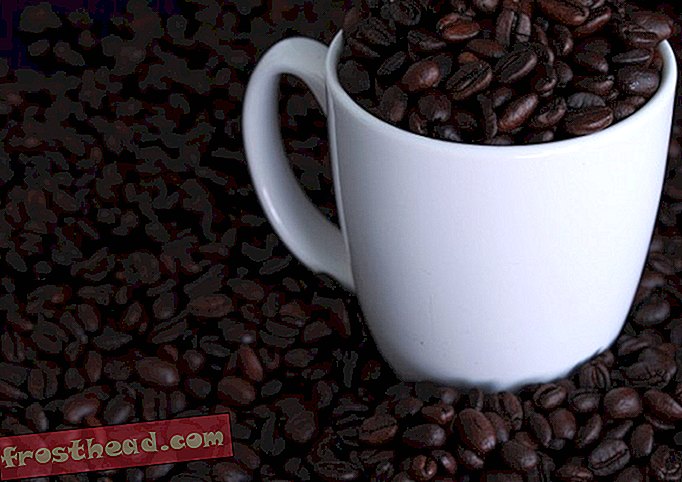 pametne vijesti, pametne vijesti - Ovi herojski znanstvenici pretvorili su korištene kave u alkohol