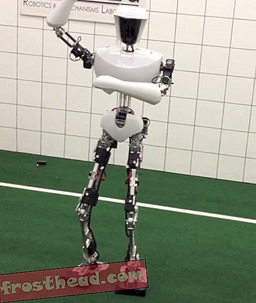 स्मार्ट समाचार, स्मार्ट समाचार - यह रोबोट आपके लिए गंगनम स्टाइल से बेहतर है