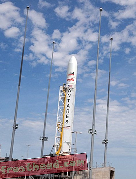 स्मार्ट समाचार, स्मार्ट समाचार - पूर्वोत्तर संयुक्त राज्य अमेरिका आज एक रॉकेट लॉन्च को देखने के लिए जाता है
