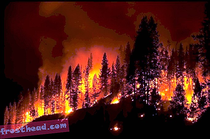 स्मार्ट समाचार, स्मार्ट समाचार - पश्चिमी अमेरिकी वन की आग 40 साल के भीतर दोगुनी हो सकती है