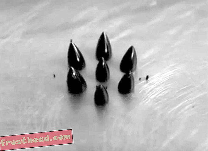 Se denne klat af ferrofluid Multiplicer hurtigere end troldmandens lærlingens kvast