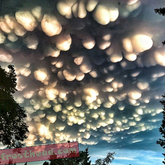 UFO ou Crazy Cloud?  'Weird Cloud Atlas' vous aide à décider