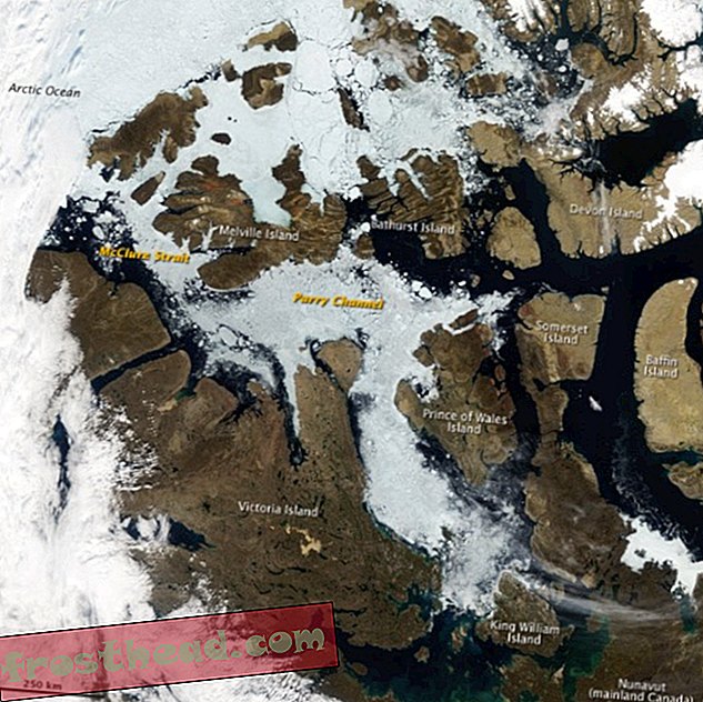 Kutub Utara Kehabisan Salju Bahkan Lebih Cepat Dari Kehabisan Es