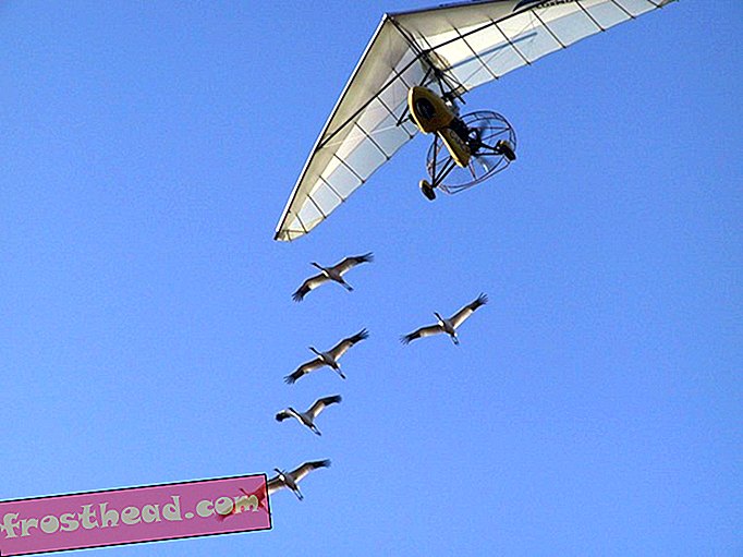έξυπνες ειδήσεις, έξυπνες ειδήσεις - Παρακολουθήστε νέους γερανούς γερανούς προετοιμαστείτε για πτήση