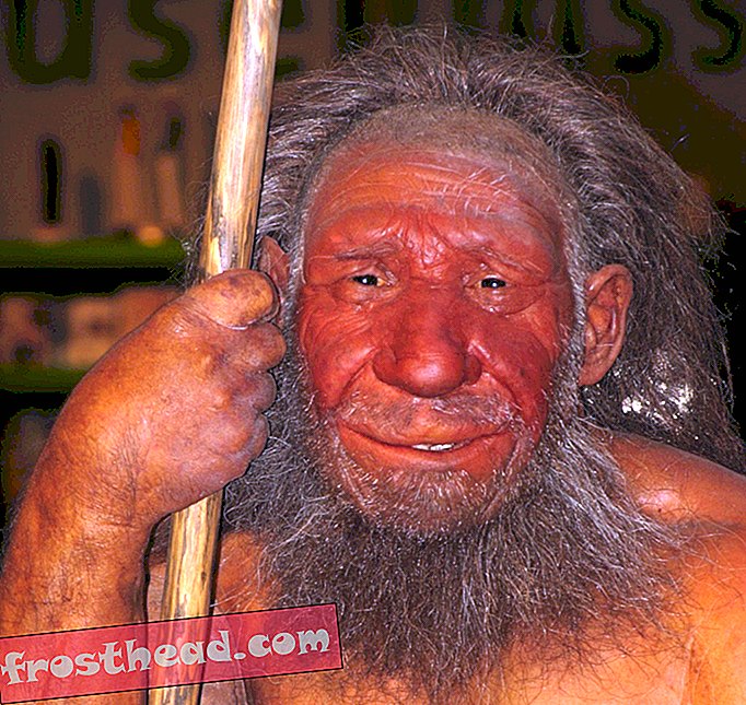 Bilakah Hook Up Human-Neanderthal Berakhir?