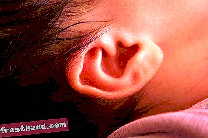 Przestań czyścić w uszach: to źle dla ciebie