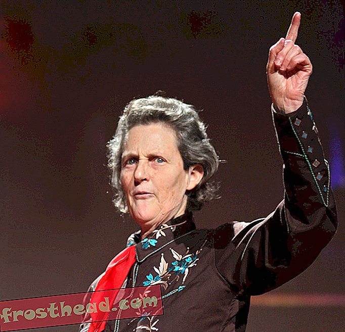 ¿Qué hace que el cerebro de Temple Grandin sea especial?