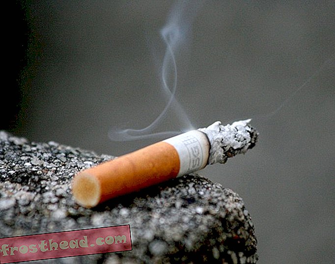умни новини, умни новини - Отказ от тютюнопушенето по възраст Четиридесет Ограничава отрицателните ефекти върху здравето