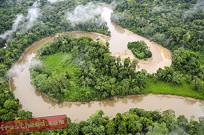 Ecuador wollte 3,6 Milliarden US-Dollar, um ein Stück Regenwald zu retten - jetzt kann mit dem Bohren begonnen werden