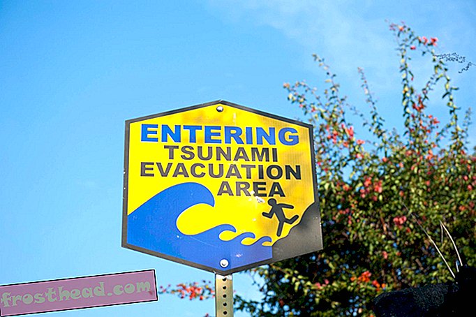noticias inteligentes - ¿Por qué Hawaii se preocupa por un tsunami masivo que golpeó siglos atrás?