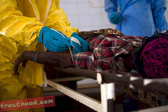 smarte nyheder - Der er et sort marked i Afrika for ebola overlevendes blod