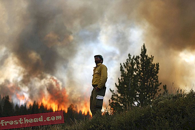 वन सेवा आग से लड़ने के लिए पैसे से बाहर चल रही है