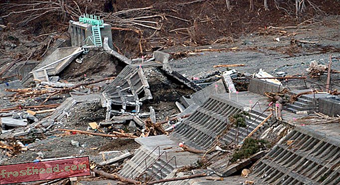 nutikad uudised - Jaapani linnad valivad seinte vahel tsunamide ja merele juurdepääsu kaitseks