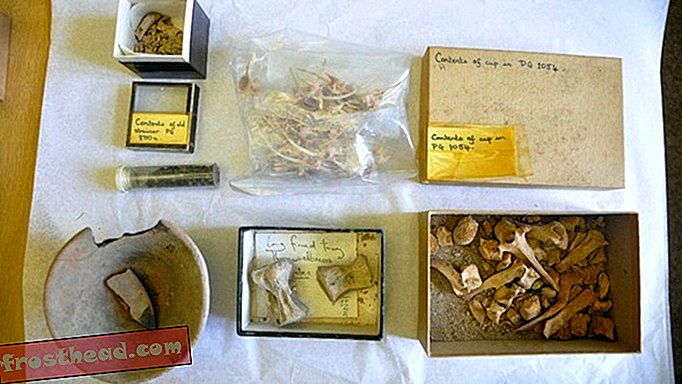 Dit 4.500 jaar oude voedsel uit Irak werd gevonden in een kabinet in Engeland