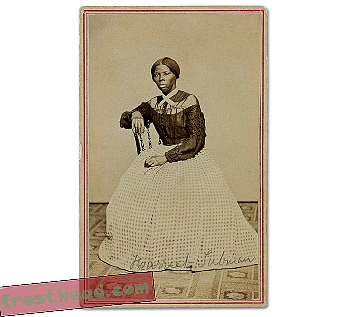 Smithsonian i biblioteka kongresowa Kup rzadkie lata 60. XIX wieku Zdjęcie Harriet Tubman