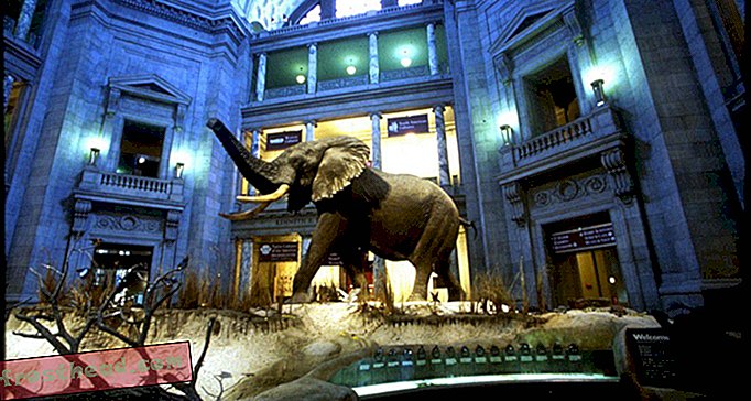 DC Museen sind geöffnet, Zoo geschlossen