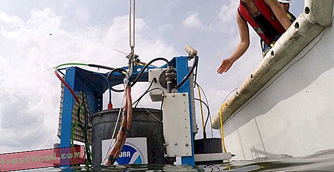 Veealune robotlabor jälgib toksiine
